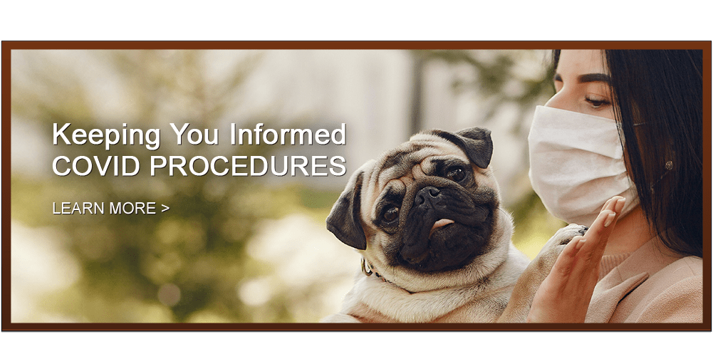 Keeping You Informed – COVID Procedures -Learn More